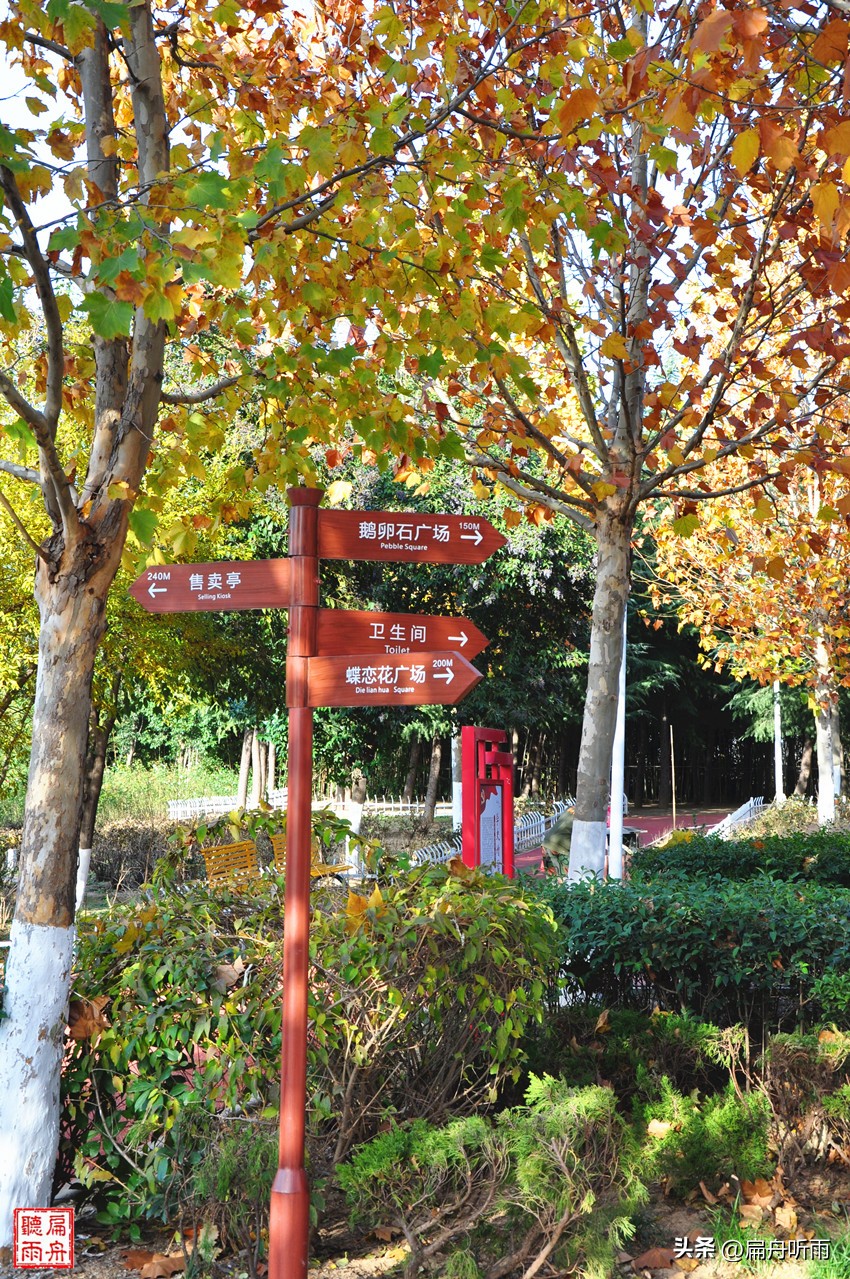 7月郑州凉快遛娃公园排行榜,郑州龙子湖避暑遛娃的地方