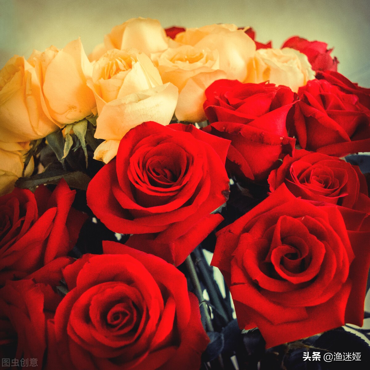 12星座适合的学校,12星座参加什么社团