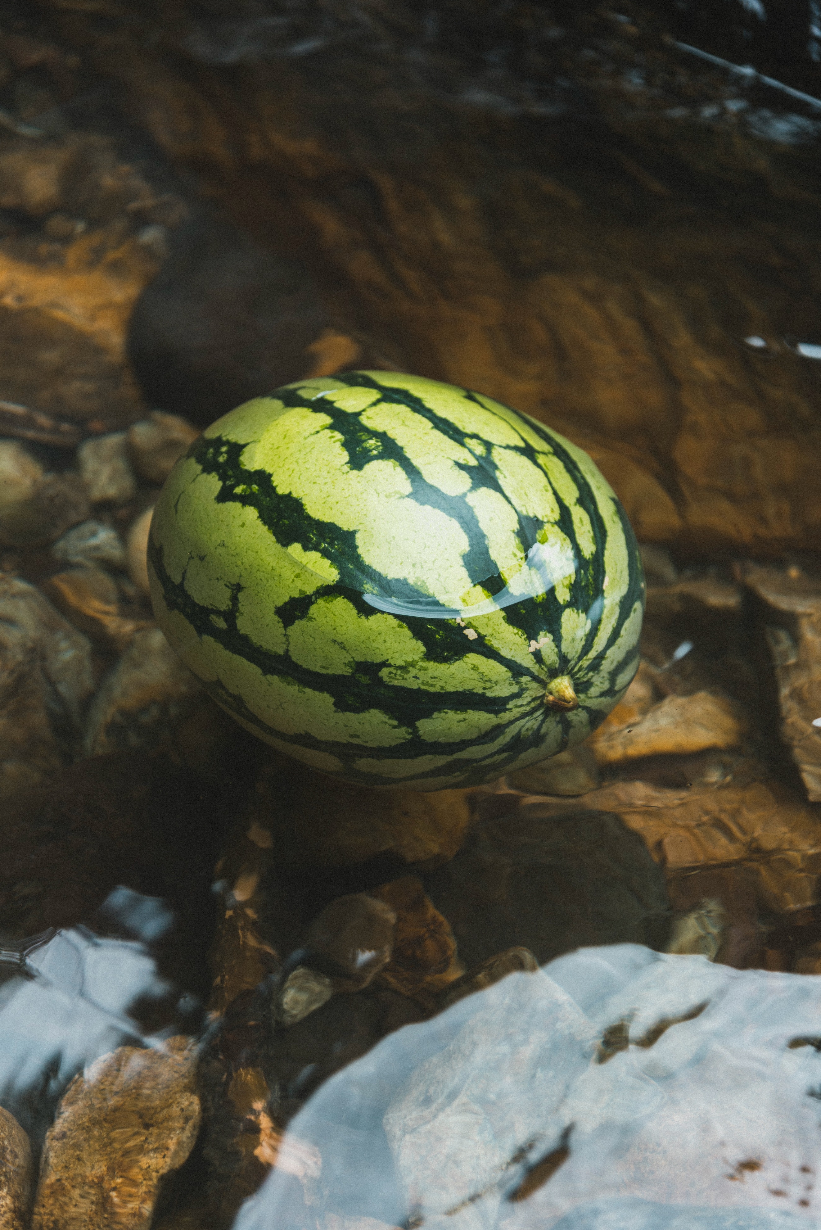 宁波四明山游记,宁波四明山这两年的风景