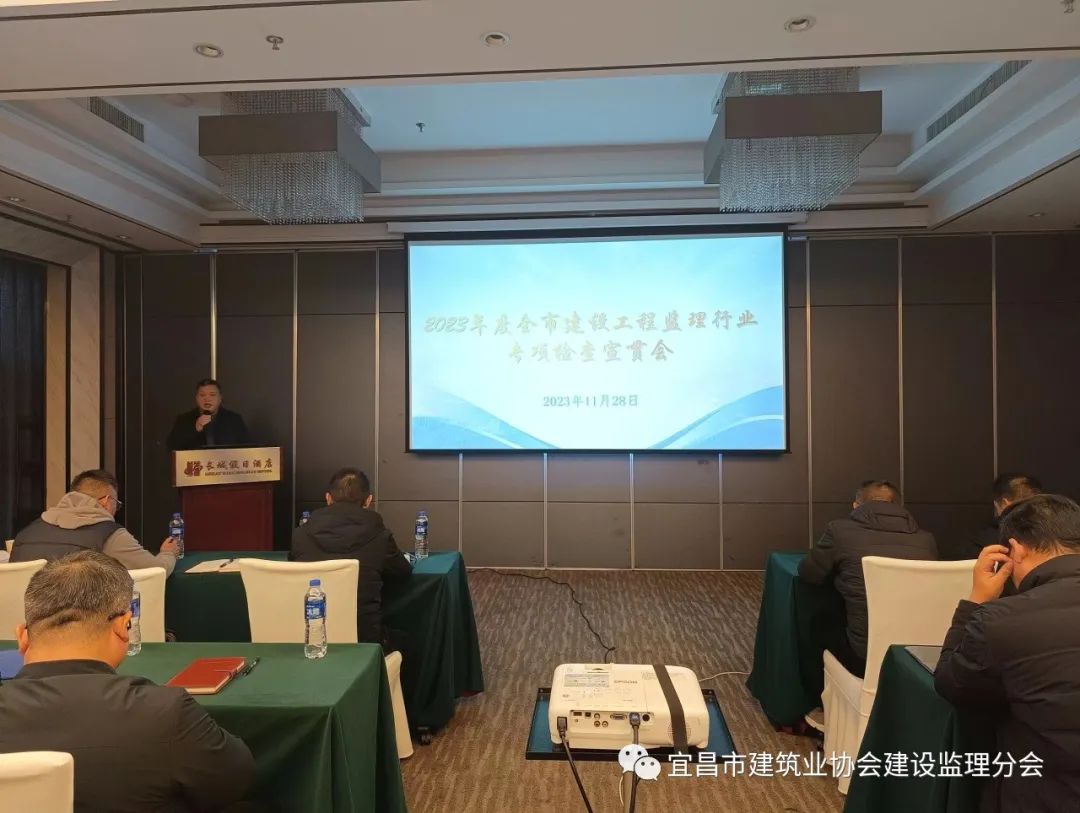 监理专项整治三年行动方案,监理专项巡视检查