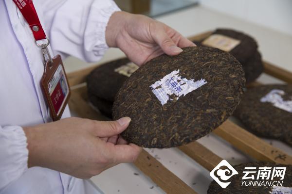 早安云南丨深藏岁月的普洱茶史妙韵醇香的时光臻品