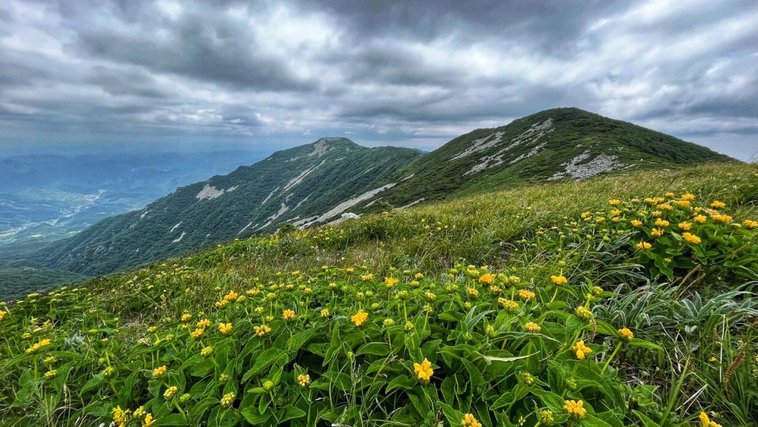 在西安玩五天去哪玩,在西安旅游五天