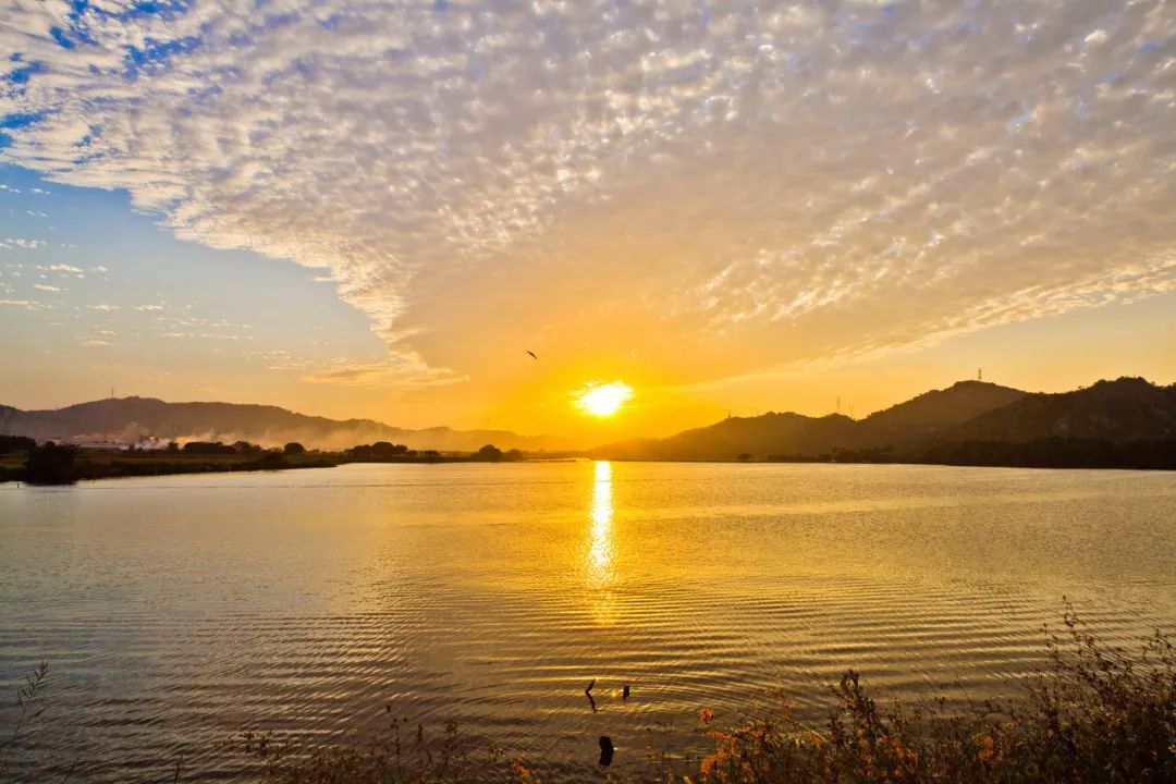 深圳充满夏天气息的风景,深圳周边有山有水的风景区