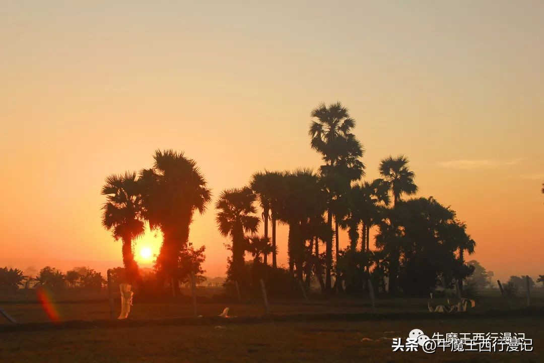 朝霞最美,最美朝霞歌曲