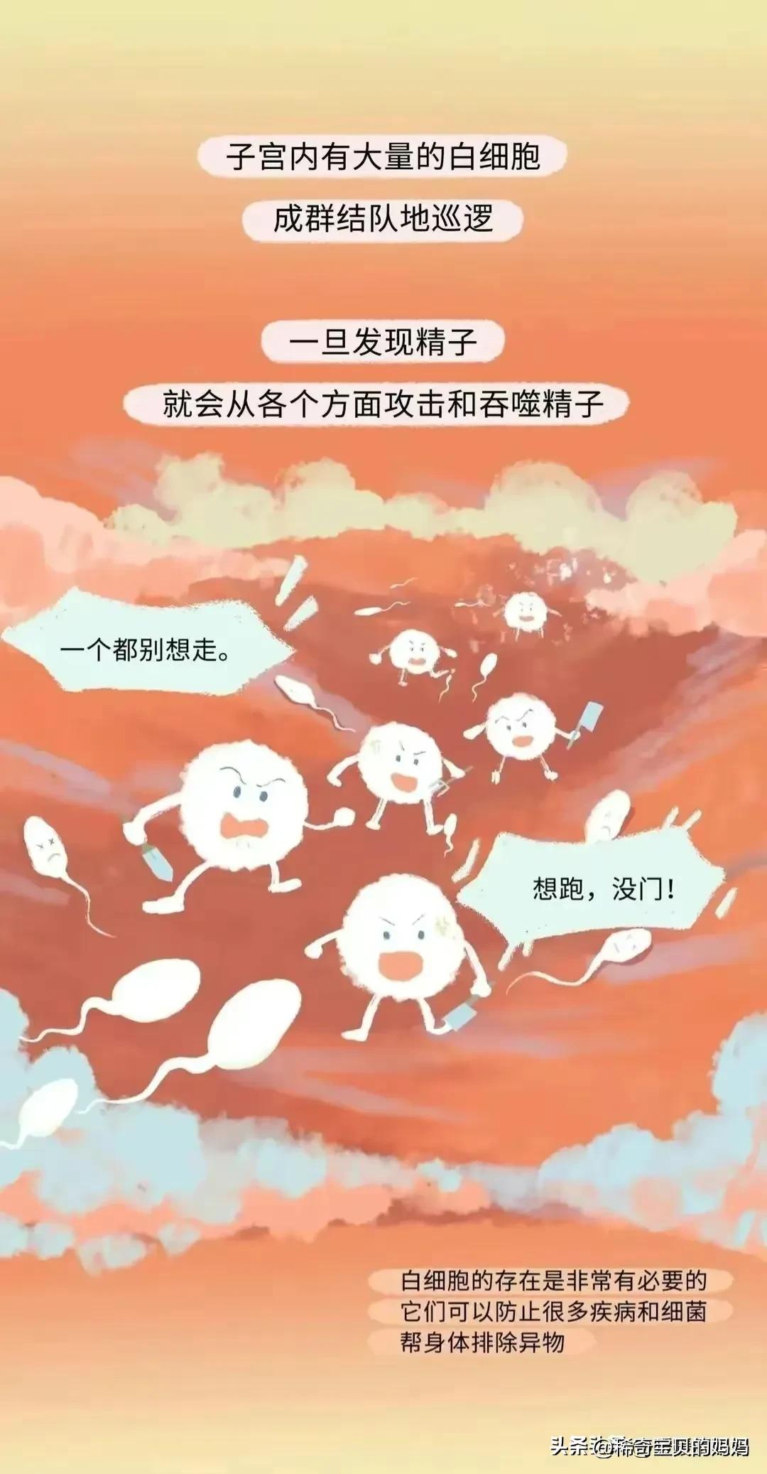 小蝌蚪漫画,科普知识小蝌蚪怎么成长为青蛙