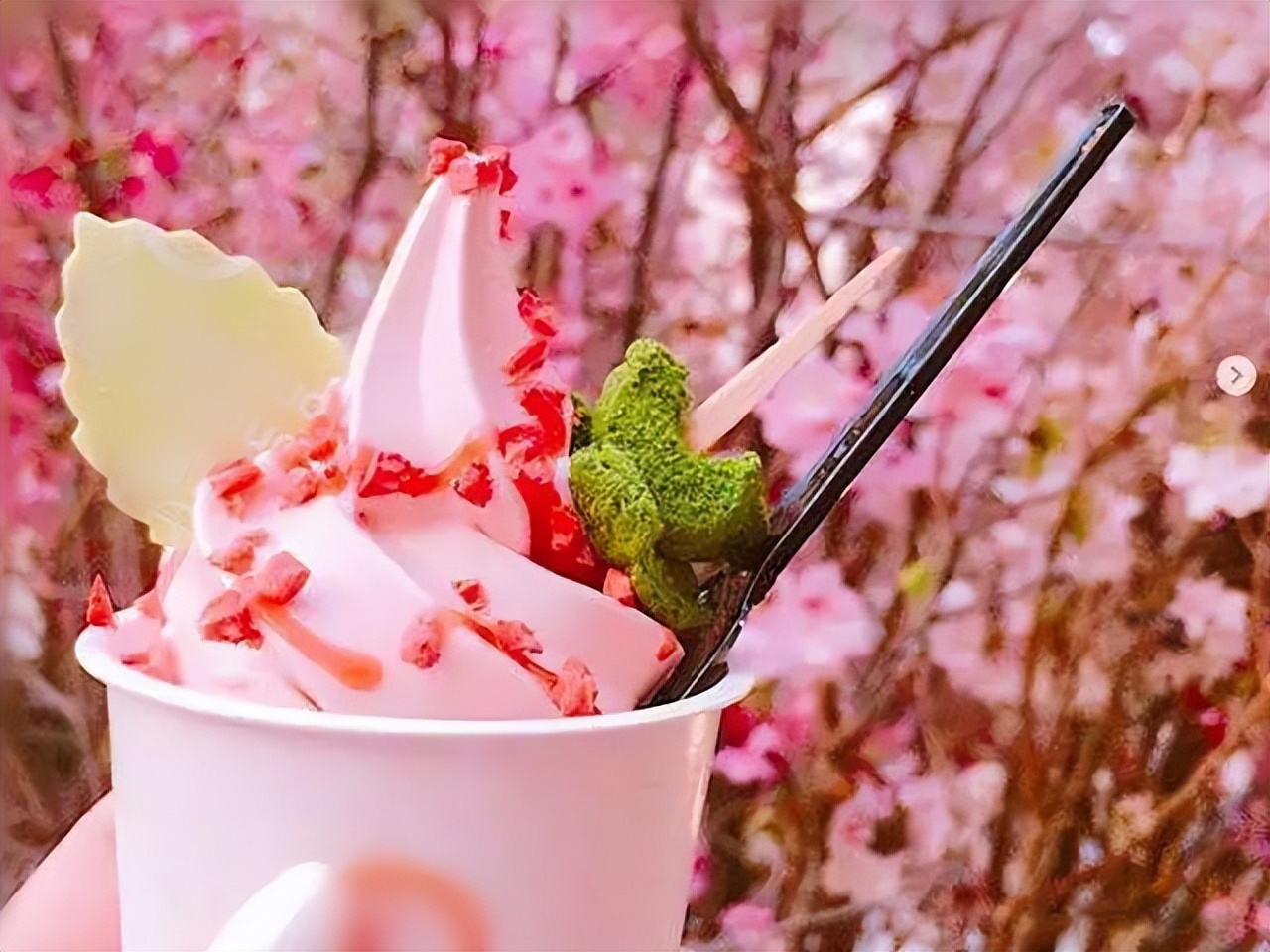 为什么突然喜欢吃冰淇淋,为什么越吃冰淇淋越想吃