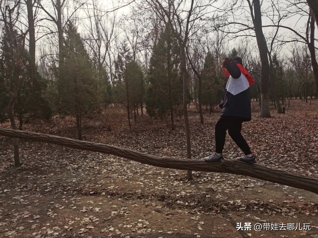 在森林公园里玩耍,中国可以骑行的森林公园