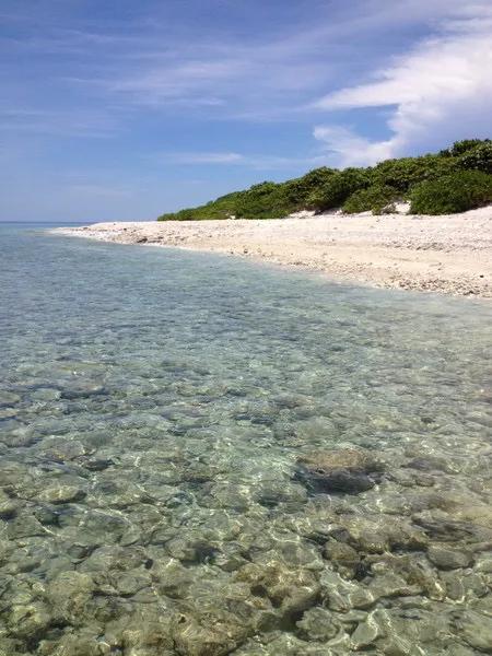 海南西沙群岛旅游攻略及费用,海南省西沙群岛旅游怎么去