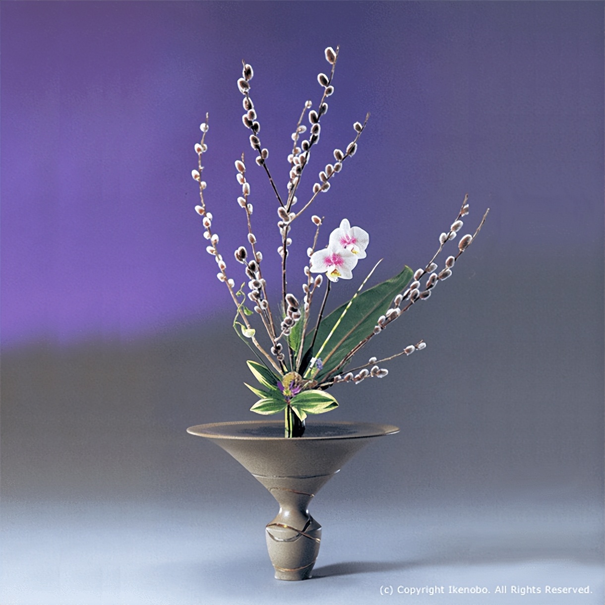 日式插花小原流花道,日式插花的13个基本技巧