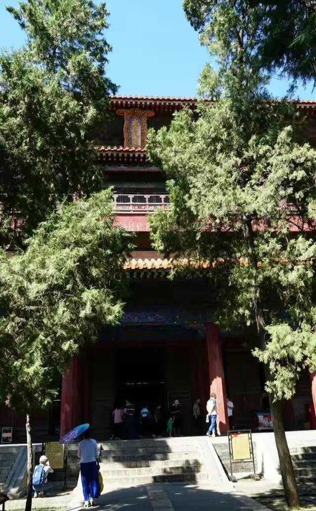 曲阜三孔纪行（作者：刘长玉）