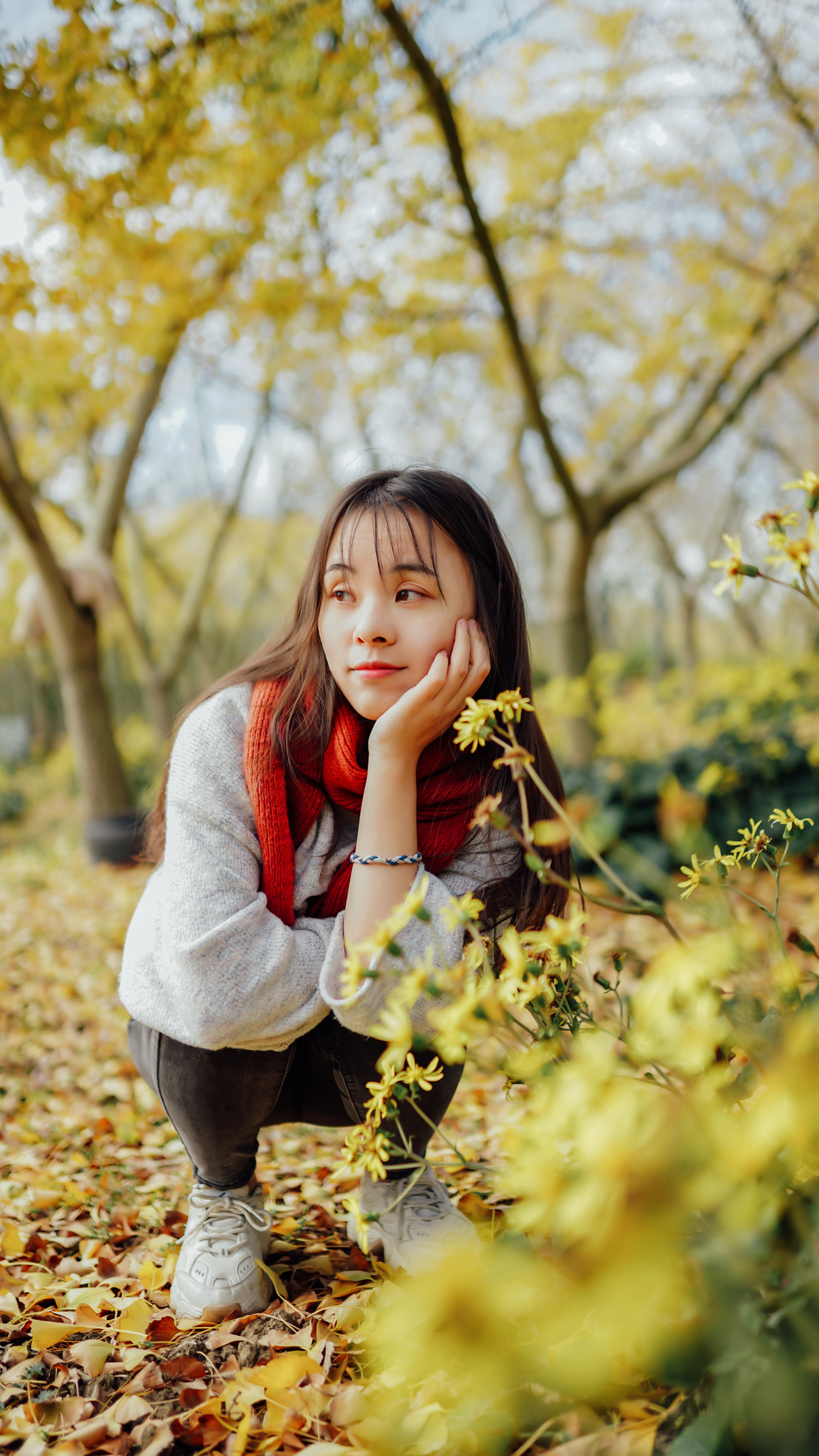 摄影苏州银杏树,苏州银杏拍照人像