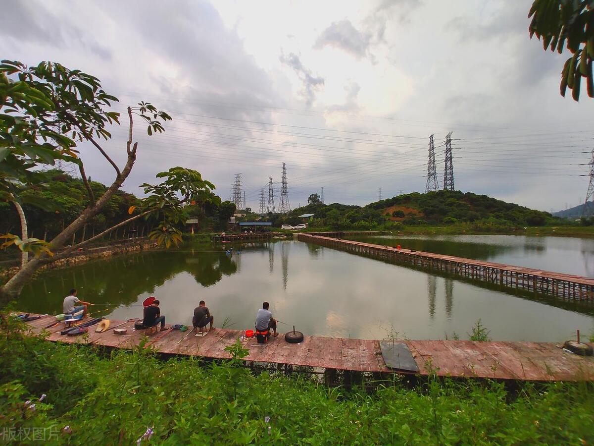 春季钓鱼不开口怎么办视频,春钓不开口怎么办