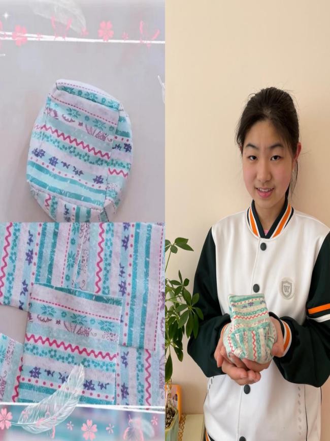 海龙湖小学综合实践活动,青岛湖岛小学课堂