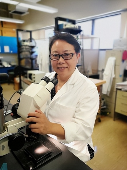 四川正和岛研习课走进力宝大厦，关爱大脑头等大事