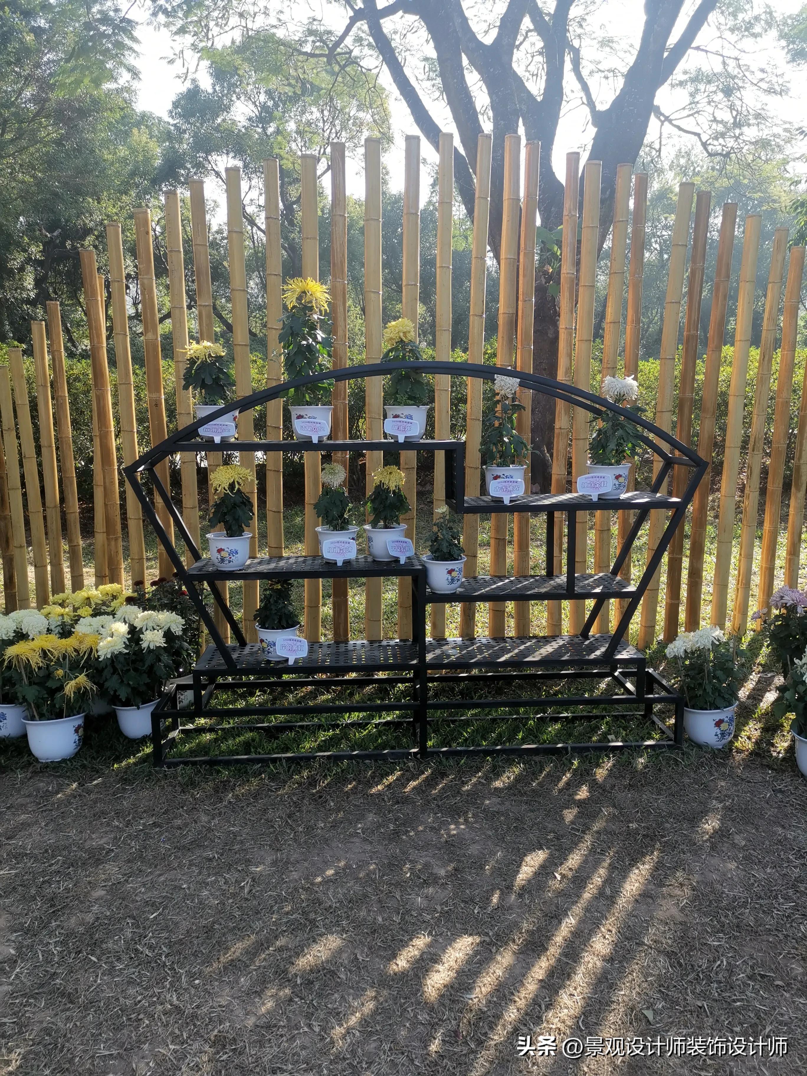 深圳市东湖公园广场舞,深圳市东湖公园收费标准