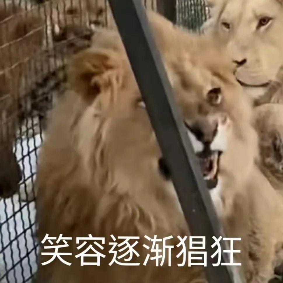 录取分在985里“吊车尾”？西北农林科技大学实力被低估了