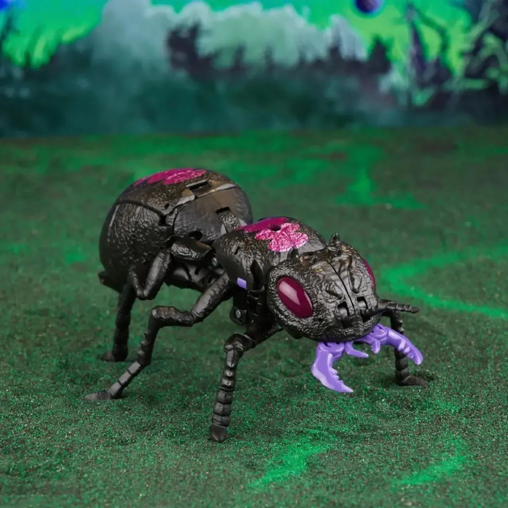 赛星小报社——本周最新的TF资讯整理