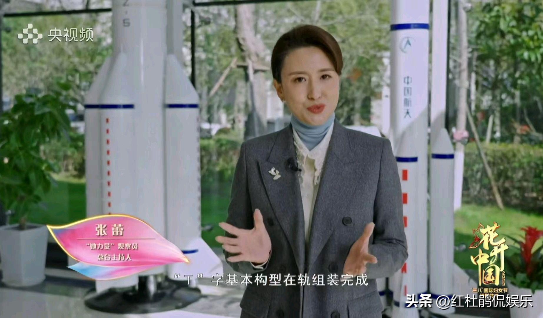 张蕾向观众告别,央视张蕾离职