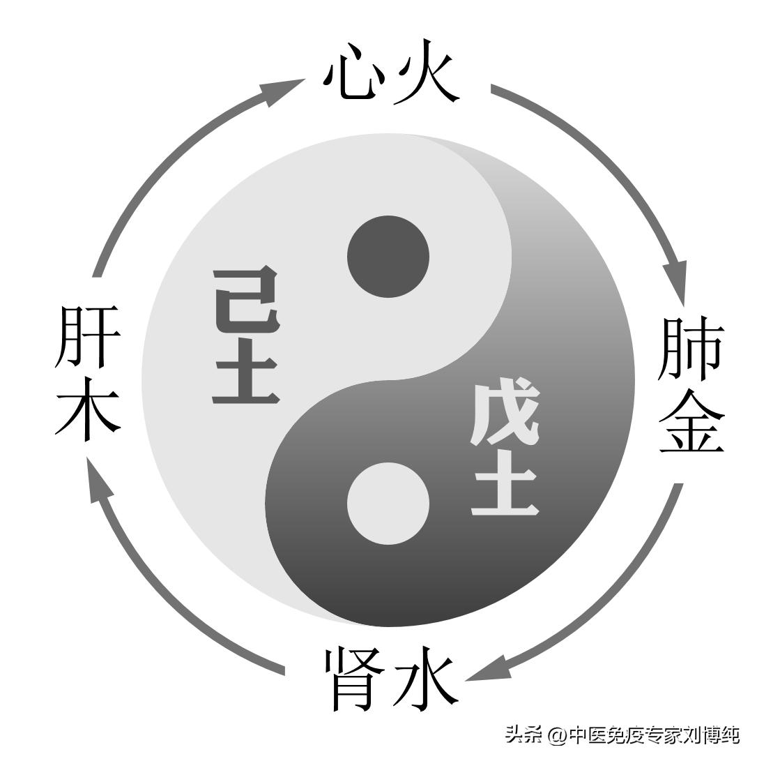 中医治肺癌步骤有哪些,肺癌中医治疗名方