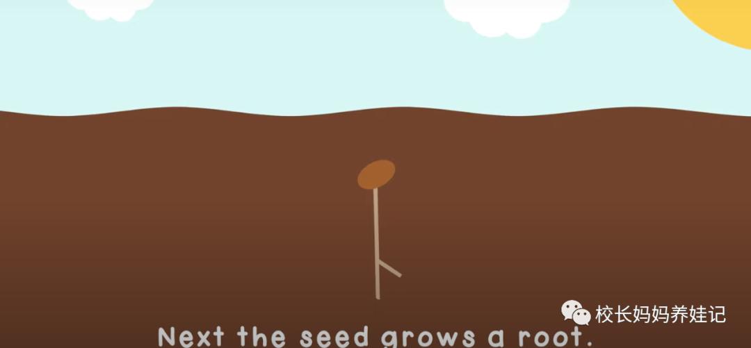 关于春天种植的英文儿歌,英文种植儿歌