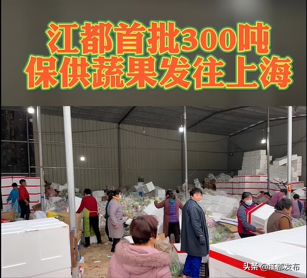 驰援上海！江都首批300吨保供蔬果发运