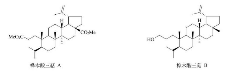 哪些植物含有三萜成分最多,萜烯类物质对植物的功效