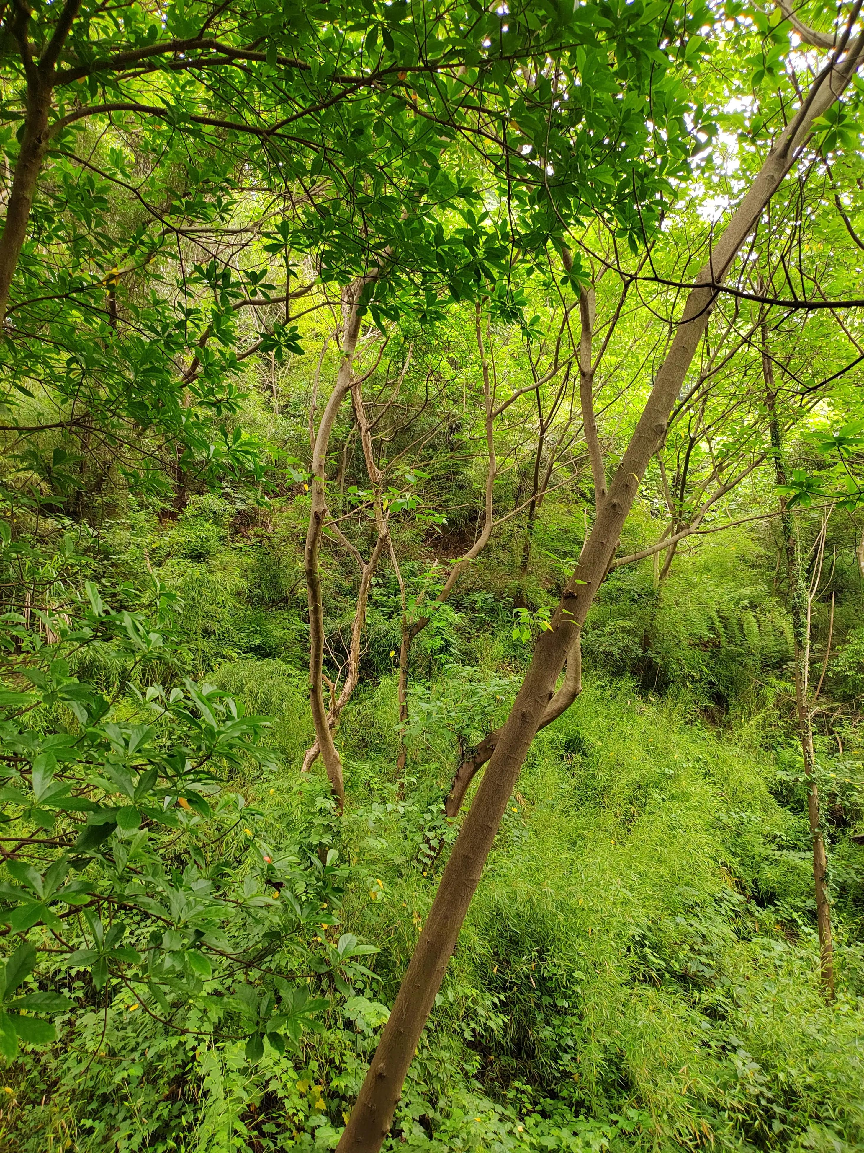 不由得想起家乡,不由自主地想起远方的亲人