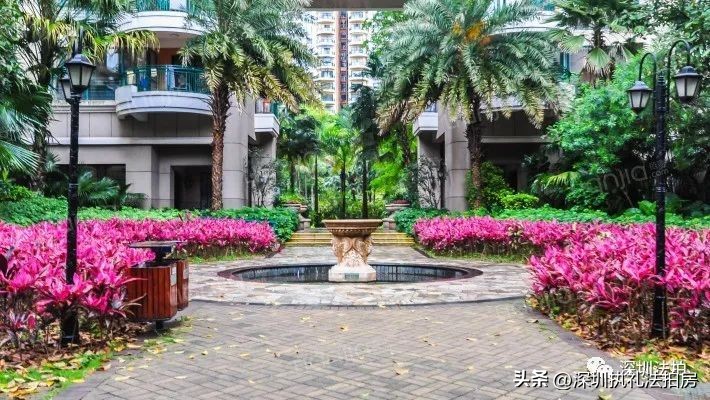 深圳6-8折法拍房,深圳市6折房子