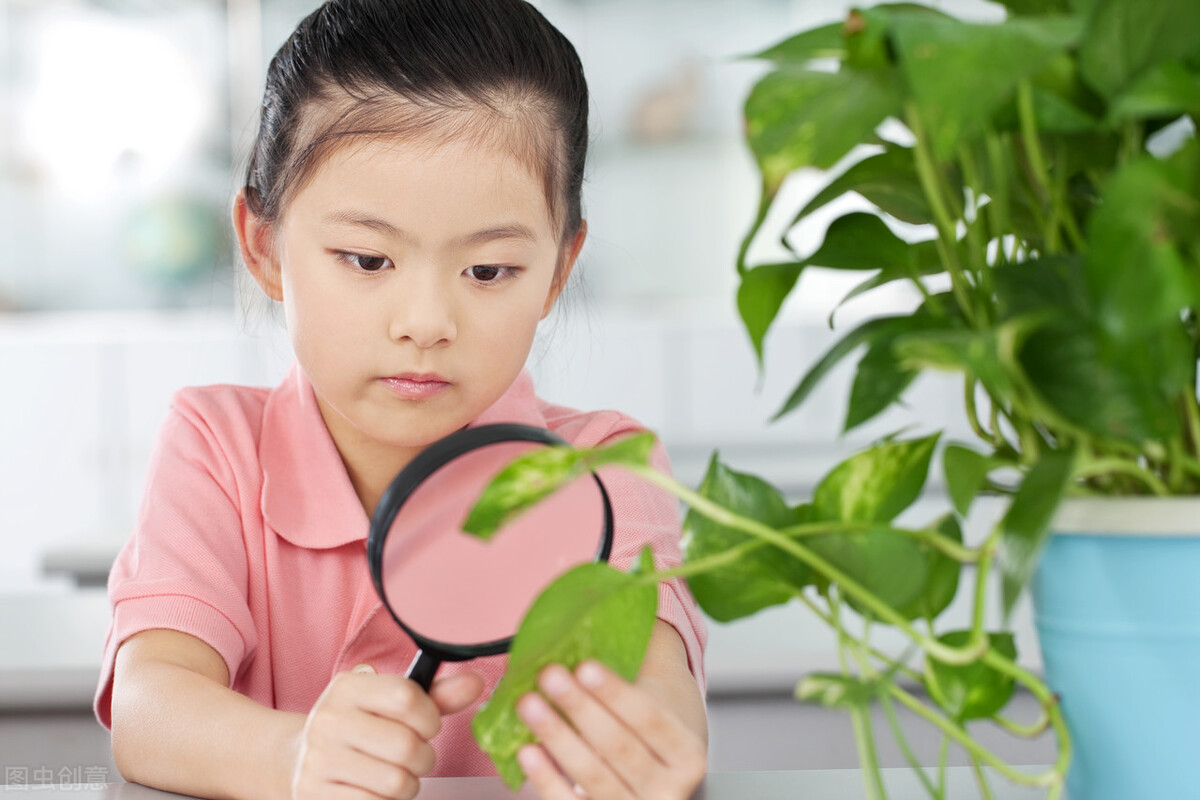 自主学习能力激发孩子学习热情,培养孩子主动学习独立学习