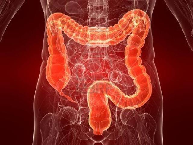 吃完饭大便什么时间到达直肠,吃饱就想大便跟直肠有关吗