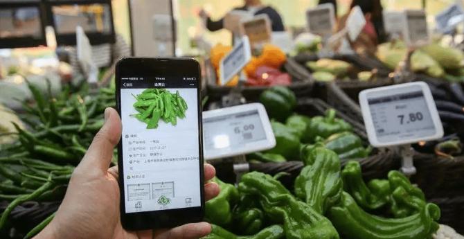 20大返乡创业有哪些政策,创业青年返乡创业有什么政策扶持