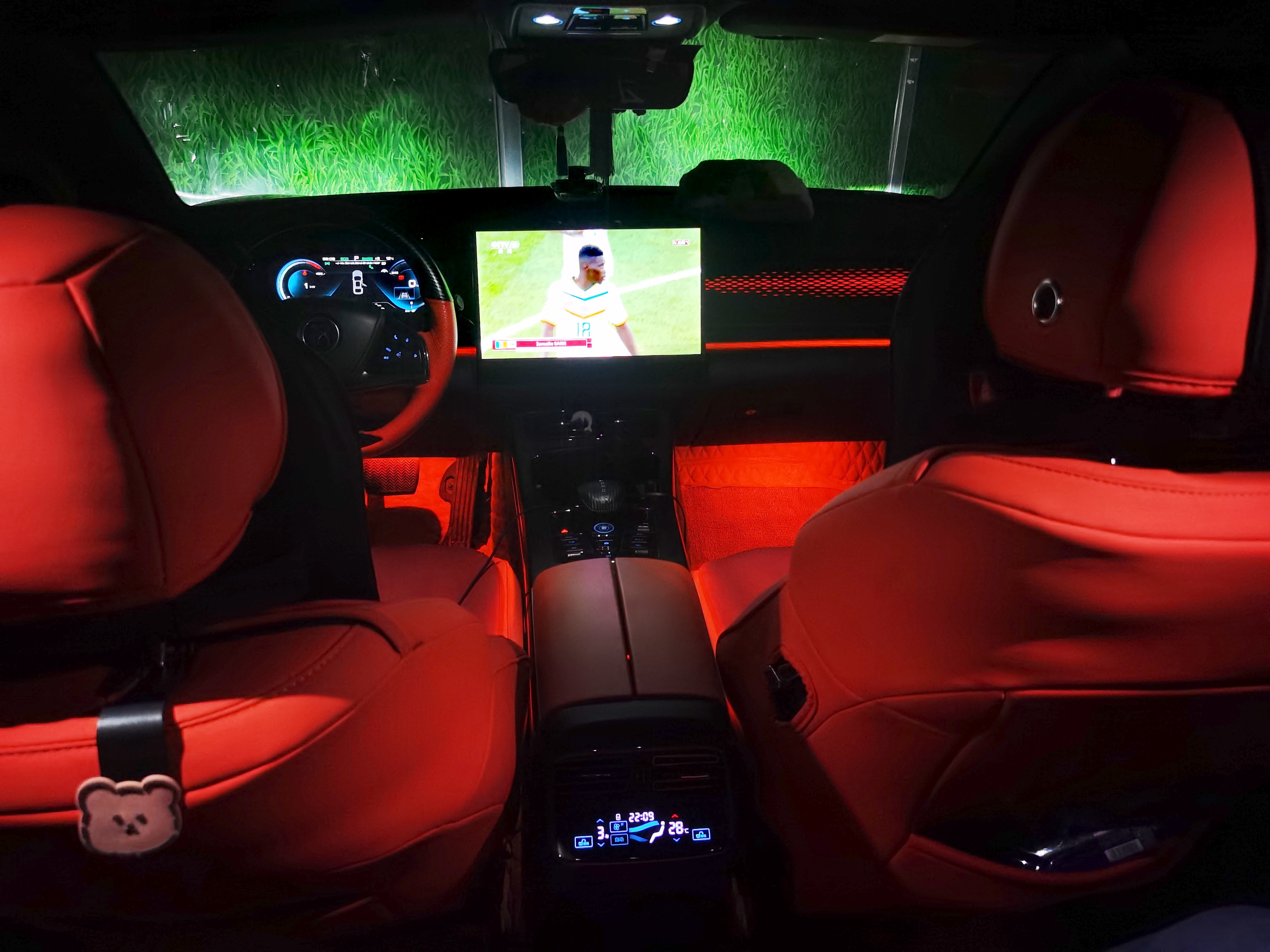 绽放巴黎在哪儿看,2022世界杯看球最好的位置