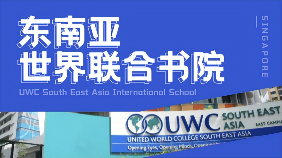 新加坡国际学校和私立学校哪个好,新加坡国际学校入学条件