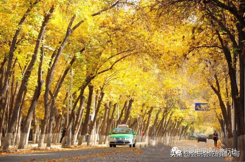 6天游南疆攻略,南疆旅游攻略七日游跟团