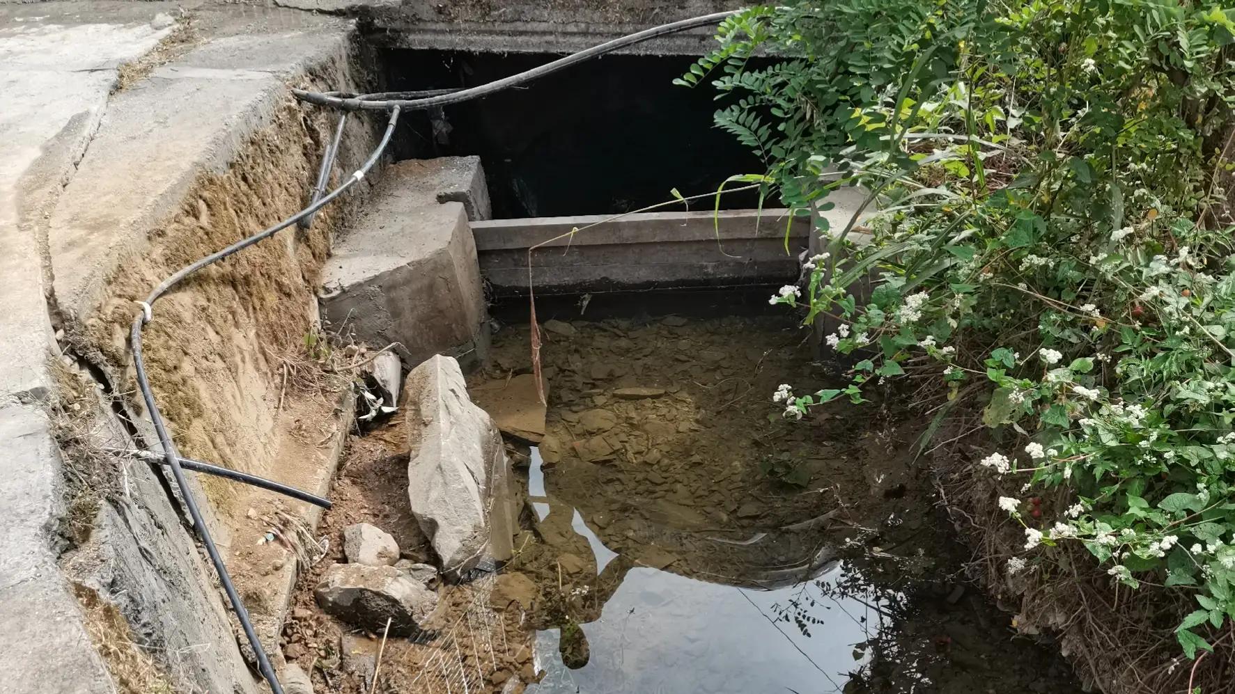 农村办厂致富项目室内装修,农村创业致富的好项目养殖业