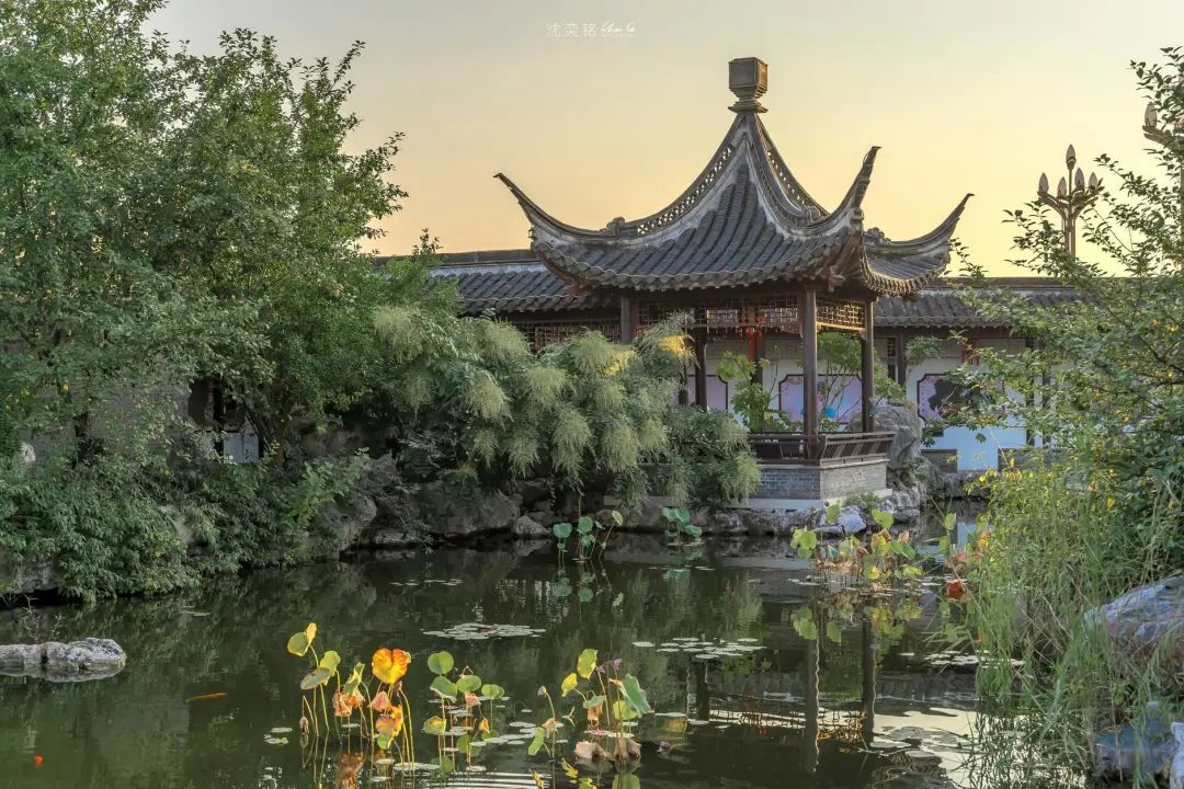 扬州值得推荐的早茶,广东早茶和扬州早茶真的没法比