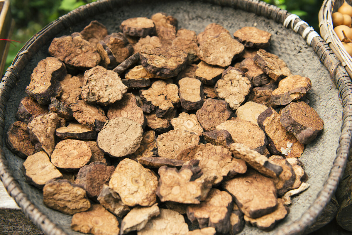 蒲公英治疗脱发和生发吗,蒲公英脱发