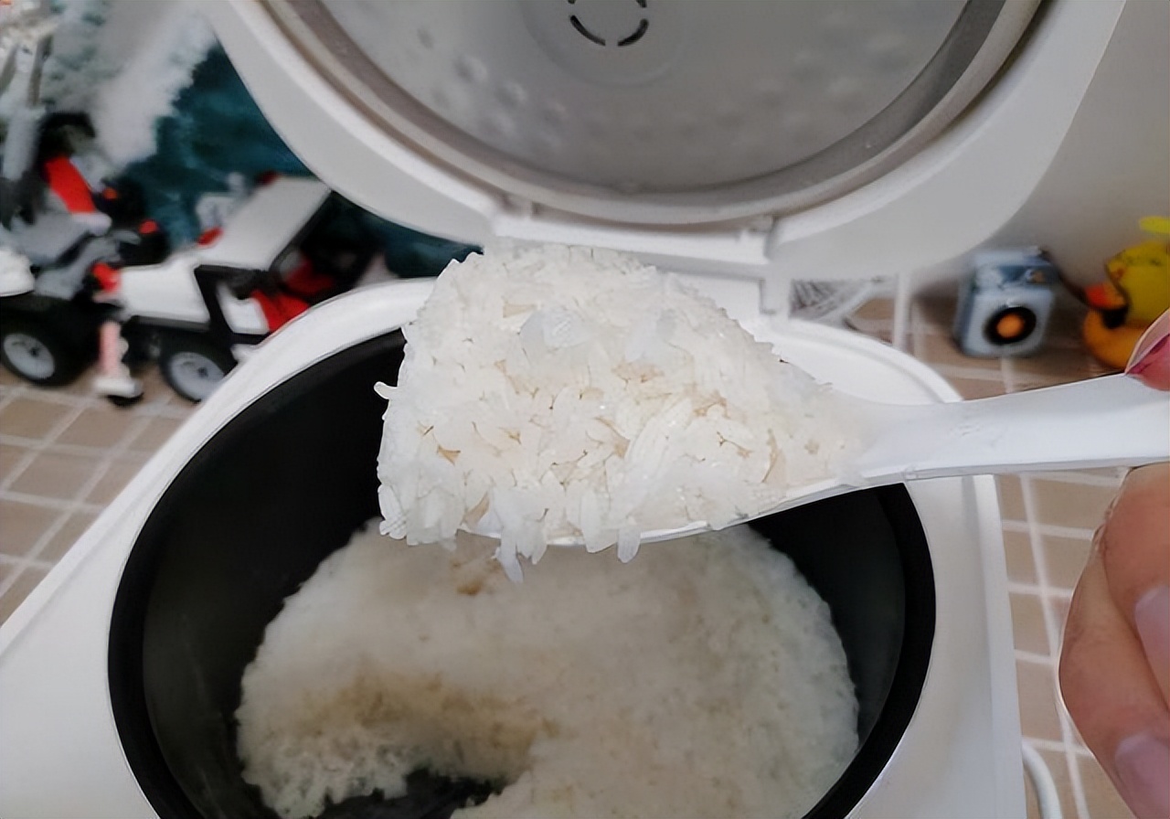 电饭煲贵的和便宜的什么区别,电饭煲贵的和便宜的有什么区别