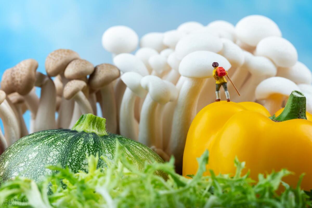 oa办公系统的保险行业解决方案,oa办公系统解决方案