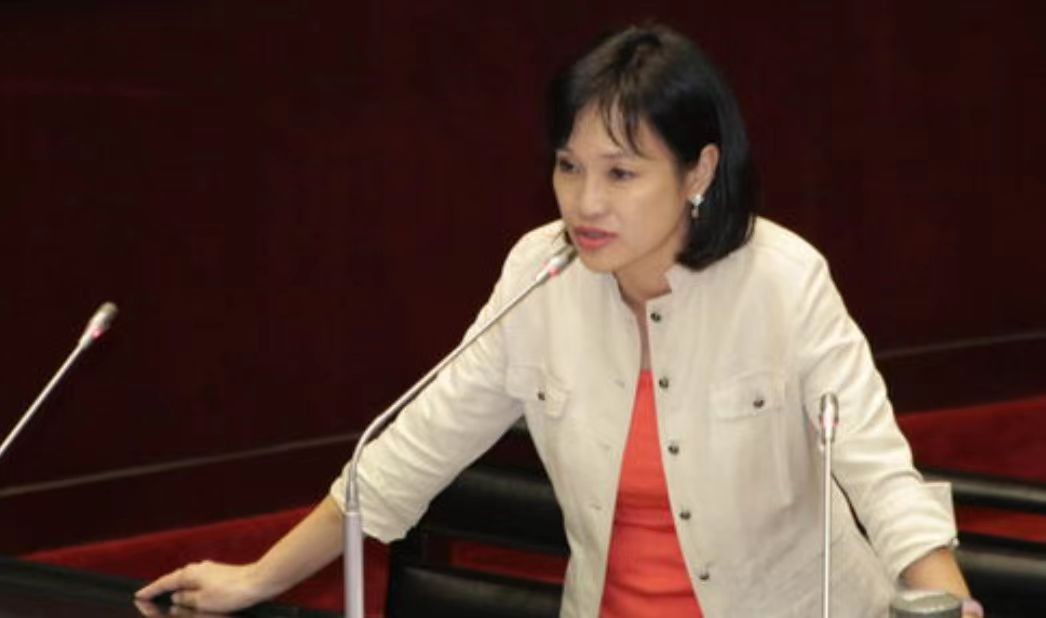 柯志恩批民进党到了选举才来影射,柯志恩高雄选举民调