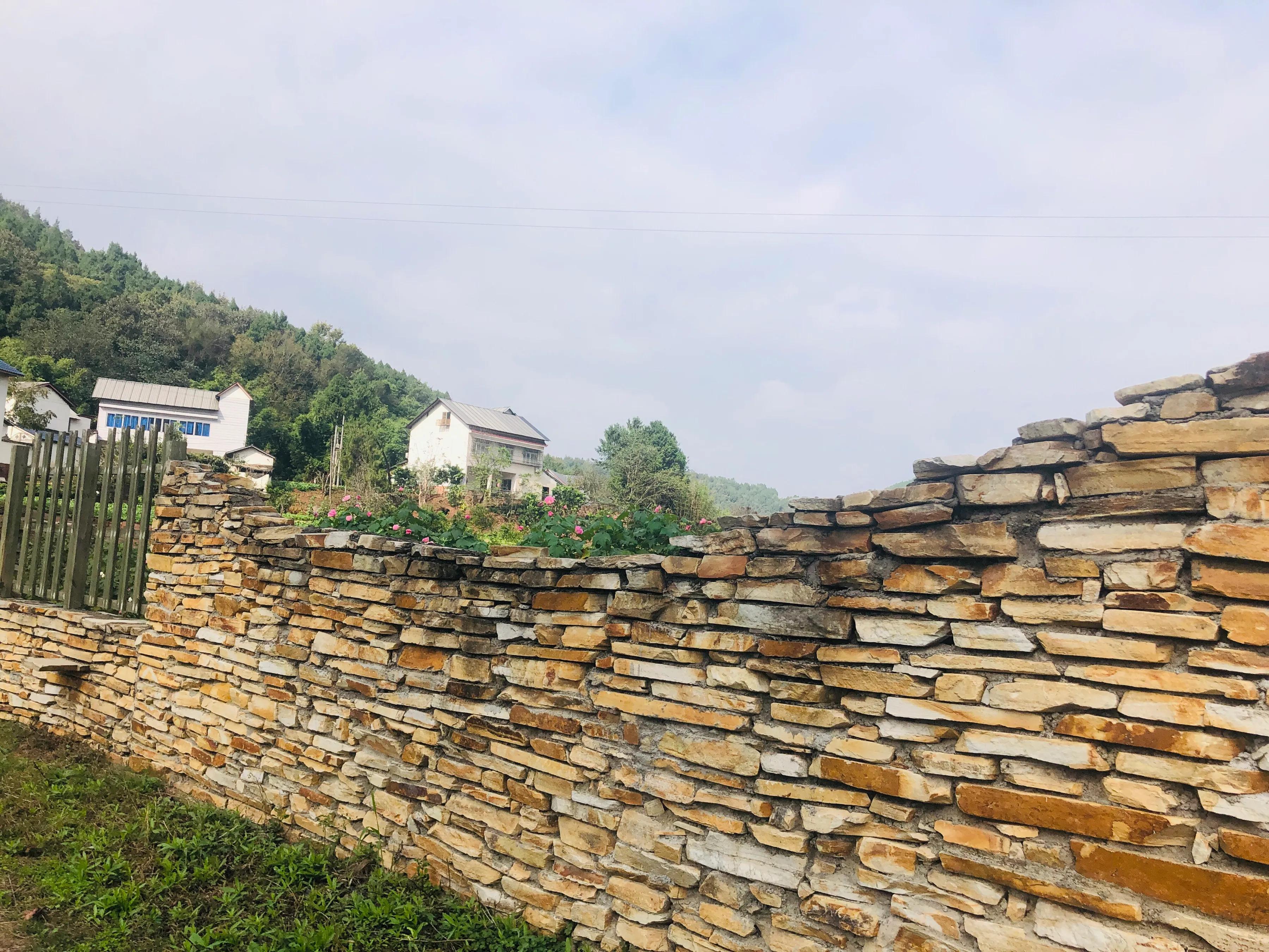 閲戝爞椴滆姳灞辫胺鍊煎緱鍘诲悧,閲戝爞椴滆姳灞辫胺娓歌