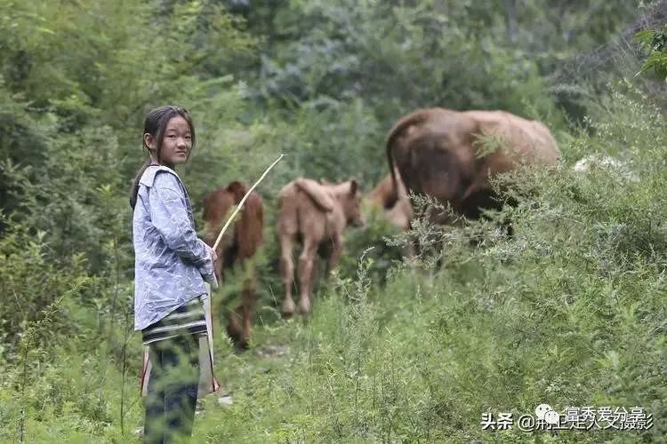 我和妈妈分离20年,我和妈妈的最后一年吵架