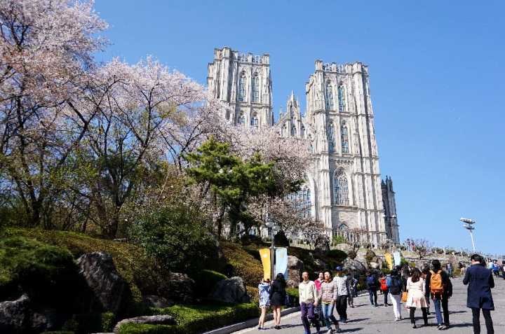 韩国留学要问中介的问题,韩国留学找中介