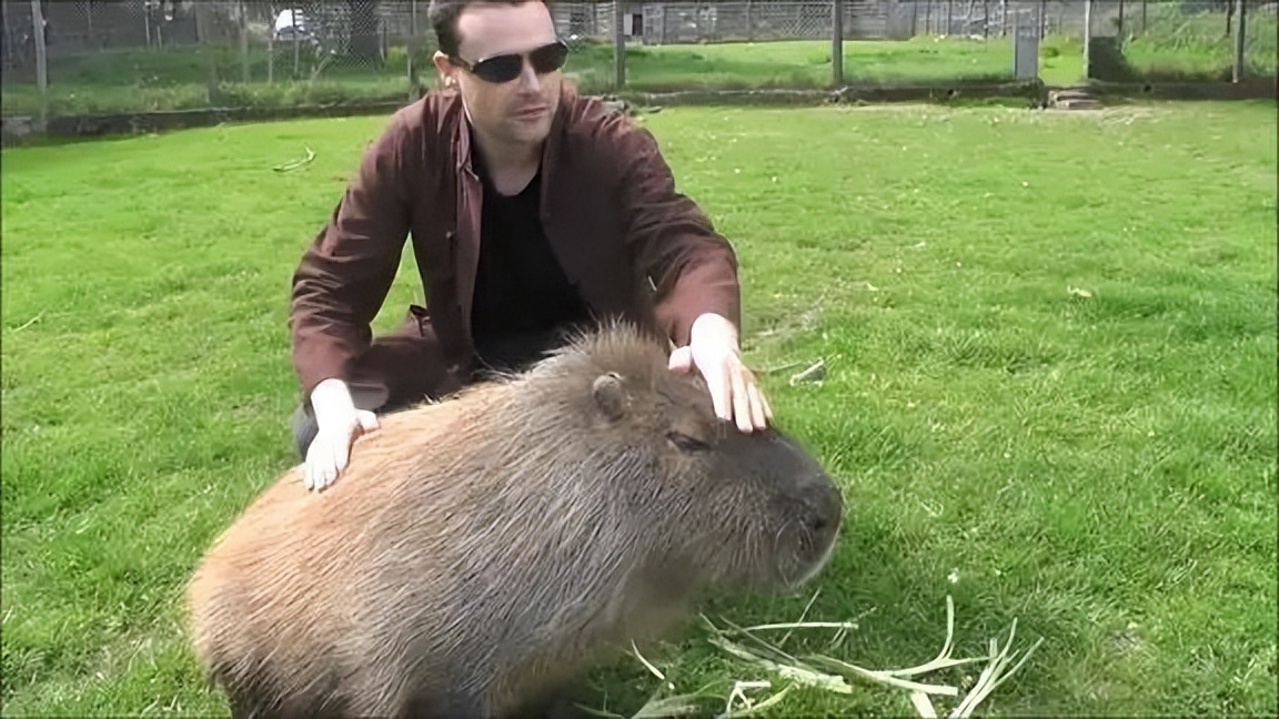 1992年,河北男子花30万买两只病鼠,几年后反而大赚8000万