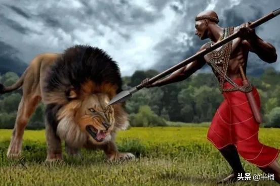 马赛人和东北虎,马赛人vs东北虎