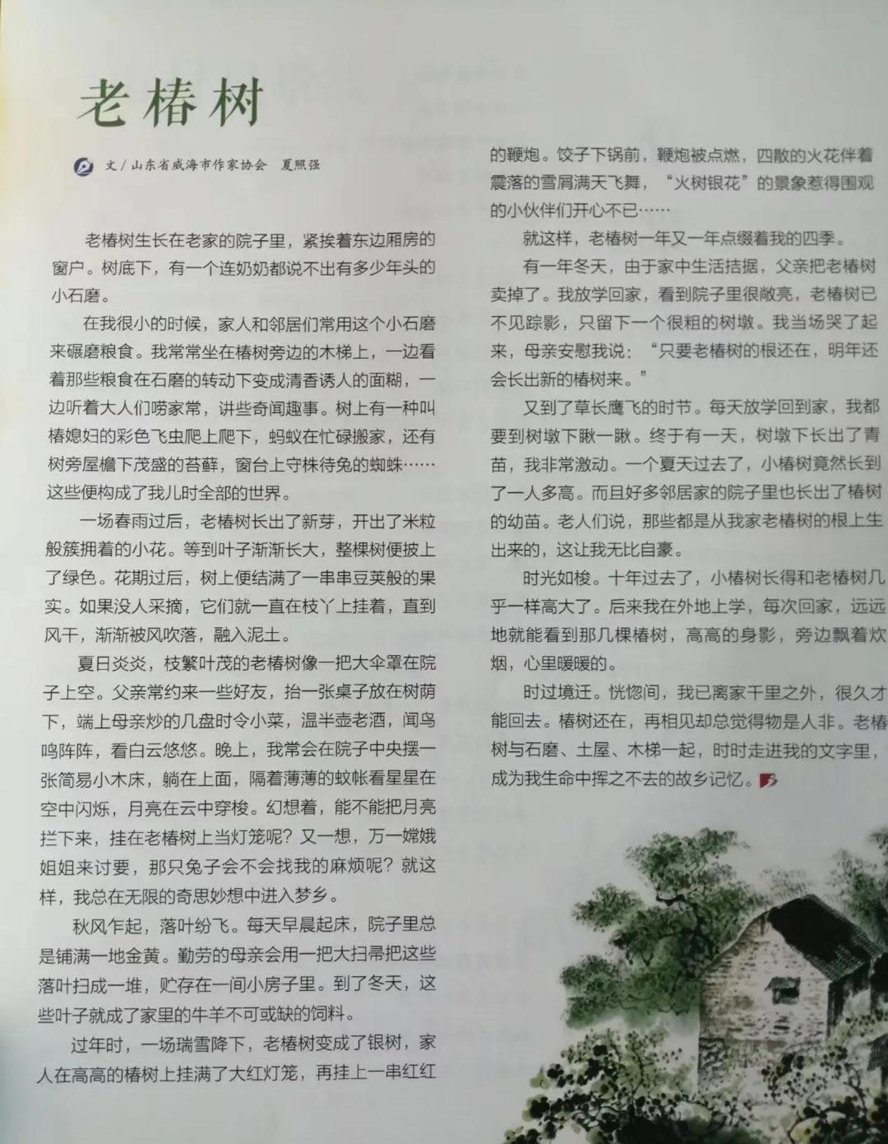 怀旧电子：万能充、MP3、带天线电视，回忆八九十年代的经典之旅