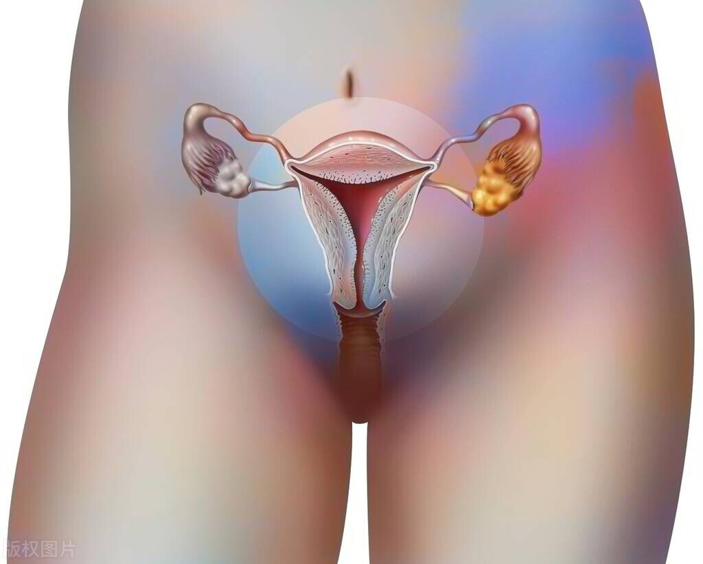 女人过了50岁，雌激素水平依然旺盛，有什么表现？医生告诉你答案