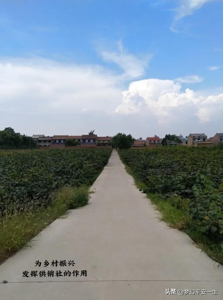 供销社经历的困难,怎么在供销社赚钱