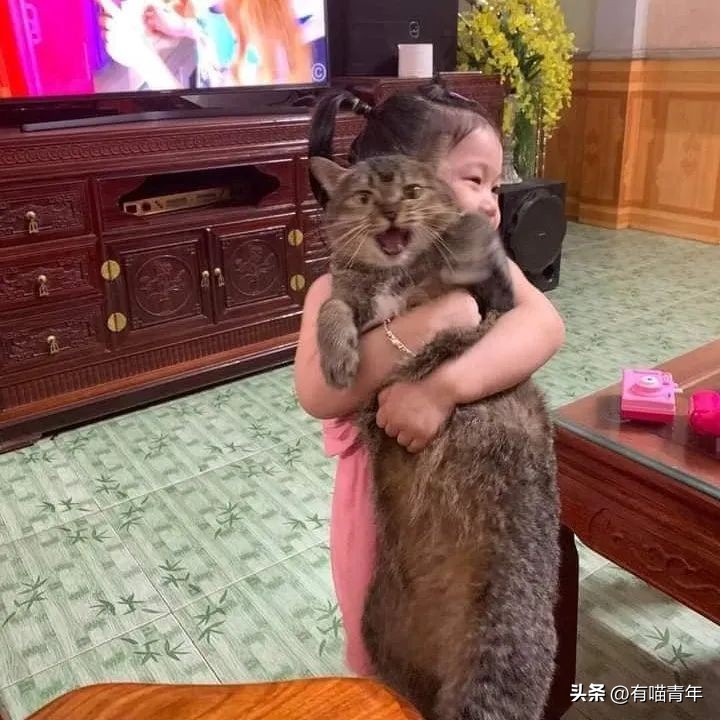 鑷粠鍏讳簡鐚氨鍐嶄篃娌℃湁涔拌繃琛ｆ湇,鑷粠鍏讳簡鐚氨娌＄粰鑷繁涔拌繃闆堕