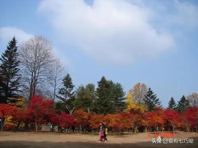 韩国南怡岛攻略,韩国南怡岛地图